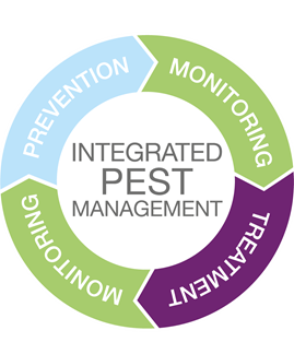 integrated pest management cycle